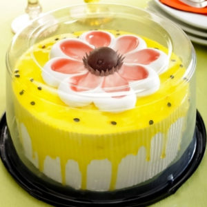 G 50CT PARATORTA PEQUENOUENA             (CX COM050) em Joanópolis SP