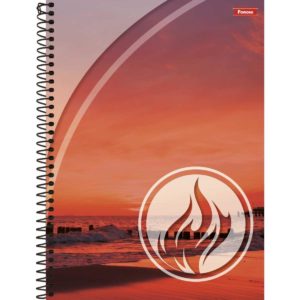 CADERNO ESPIRAL 1/4 CApa DURA QUATRO ELEMENTOS 80FLS  - FORONI em Joanópolis SP
