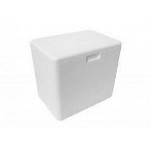 CAIXA DE ISOPOR  02 LTS em Joanópolis SP