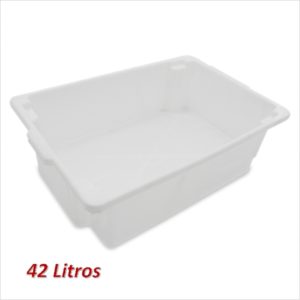 CAIXA FRIGORIFICA 42 LTS  PLASNEW em Joanópolis SP