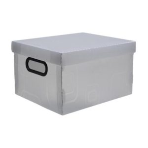 CAIXA ORGANIZ N.2-PEQUENOUE CR DELLO (56105) em Joanópolis SP