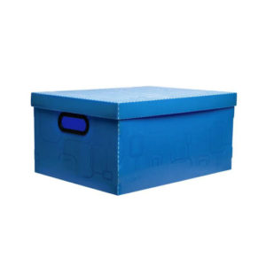 CAIXA ORGANIZ N.3-MEDIA AZ DELLO (56108)