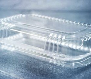 P  FESTA LUNCH BOX 08    (PCT COM 10) (CX COM 10X10) em Joanópolis SP