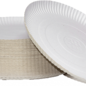 PRATO DE PAPELÃO BRANCO N.05 COM 100 UNID