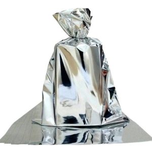 SACO METALIZADO 20X30 COM100