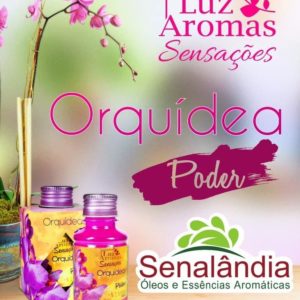 SENALÂNDIA - AROMATIZANTE LUZ E AROMAS ORQUIDEAS 100ML em Joanópolis SP